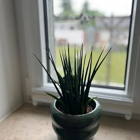 Ruhrperle 2 דירה *