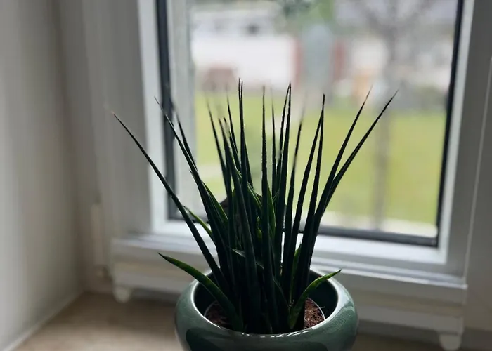 Ruhrperle 2 דירה *